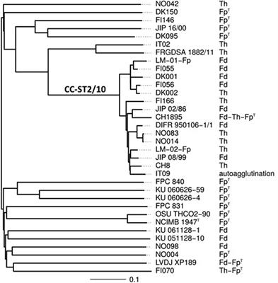 Genomic Characterization of Flavobacterium psychrophilum Serotypes and Development of a Multiplex PCR-Based Serotyping Scheme